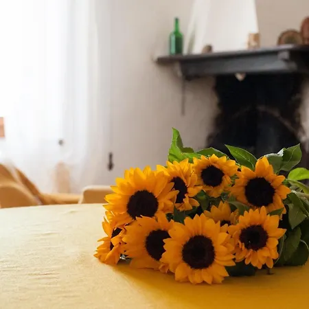 Podernuovo *